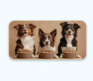 Fresh Pet Food Manufacturing and Distribution
